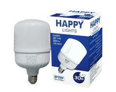 30W LED BULB (T100)