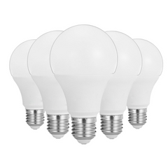 25W LED BULB (A95)