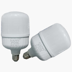 30W LED BULB (T100)