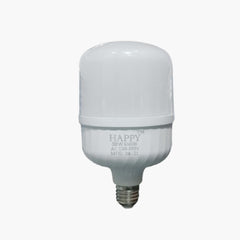 30W LED BULB (T100)